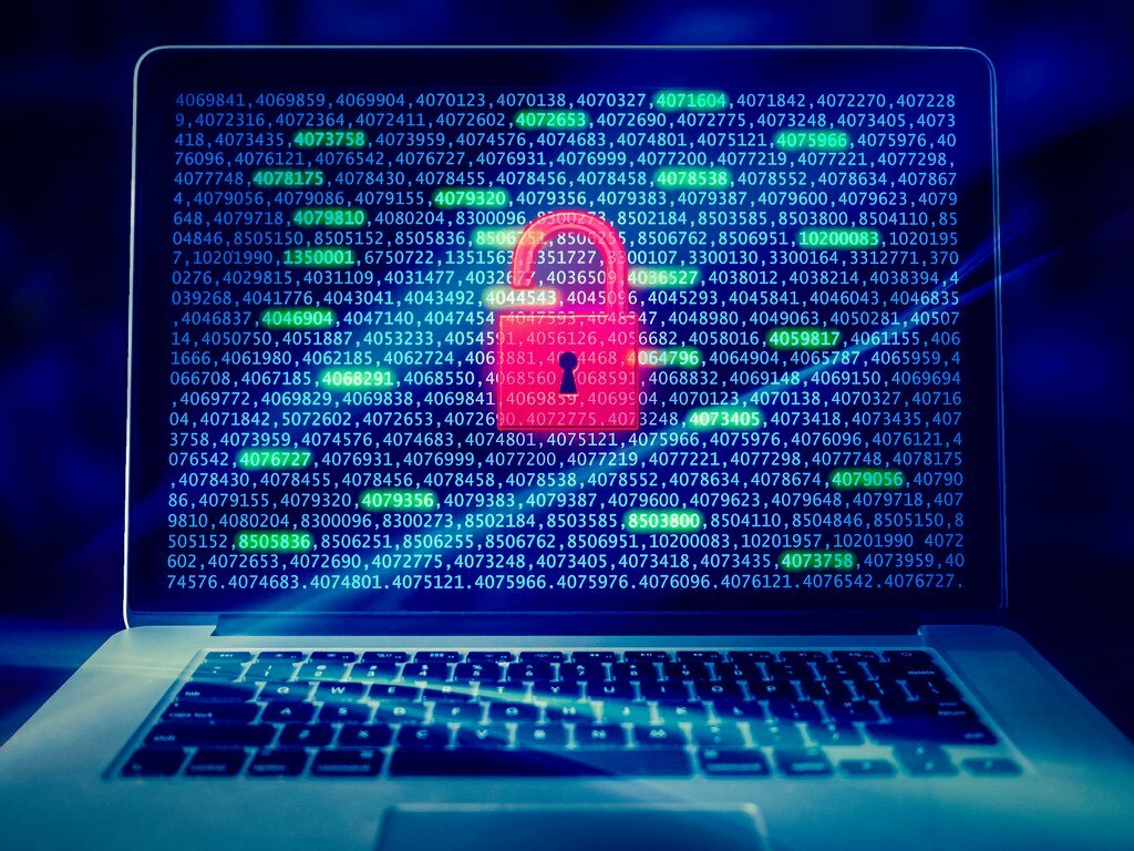 Cyber protection: investment to take educational thoughts to market